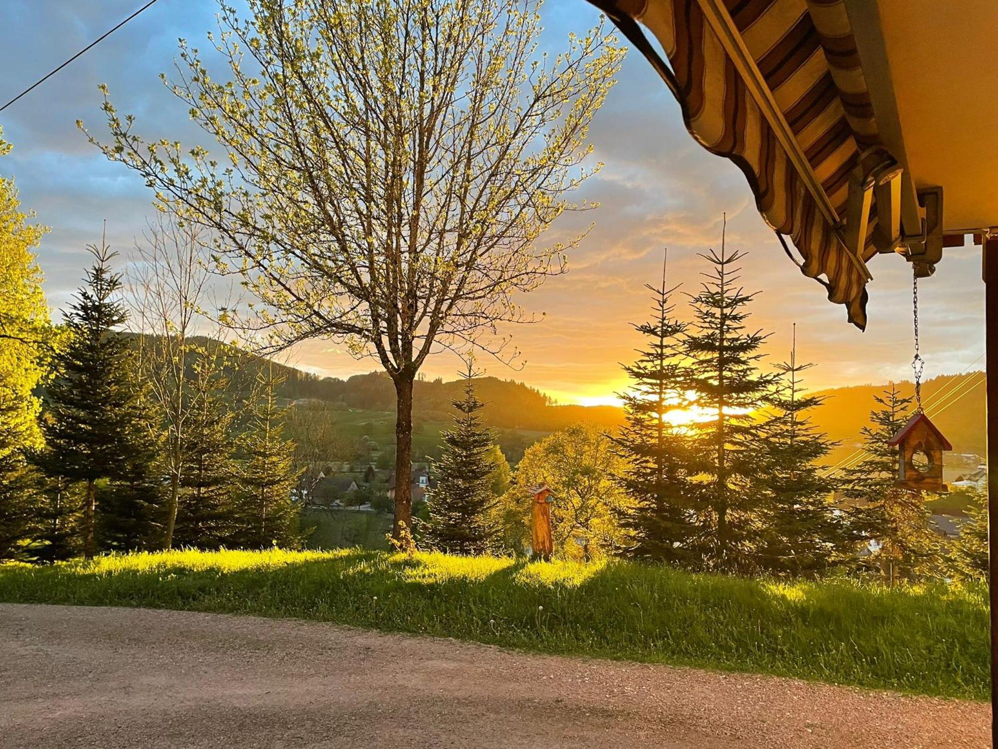 Ferienwohnung Am Buergele Schopfheim Exteriér fotografie
